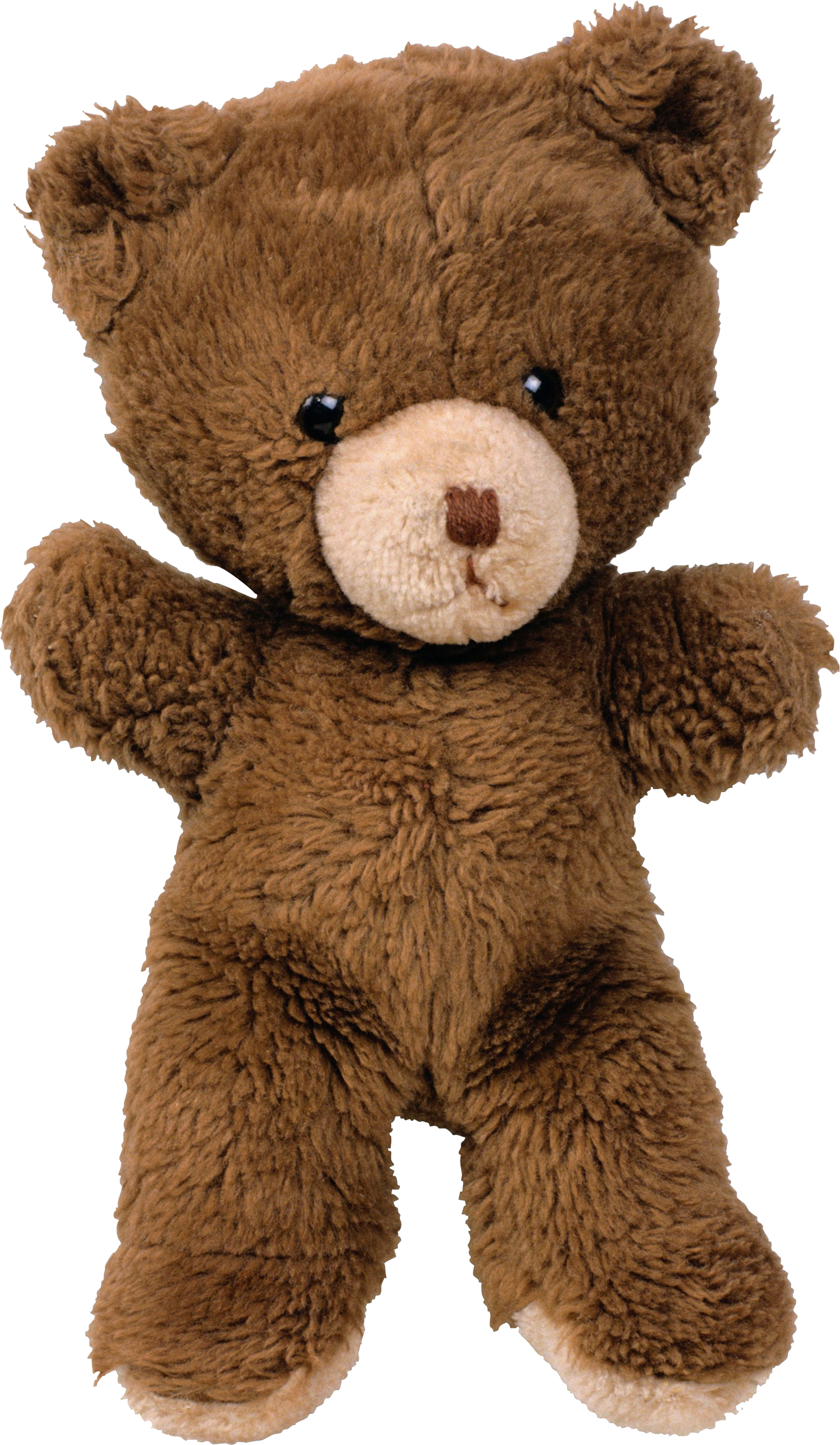 Teddy Bear Png (1649x2835), Png Download