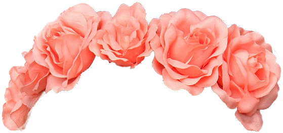 Bing Images Emoji Tumblr Png, Crown Png, Transparent - Transparent Emoji Flower Crown (807x807), Png Download