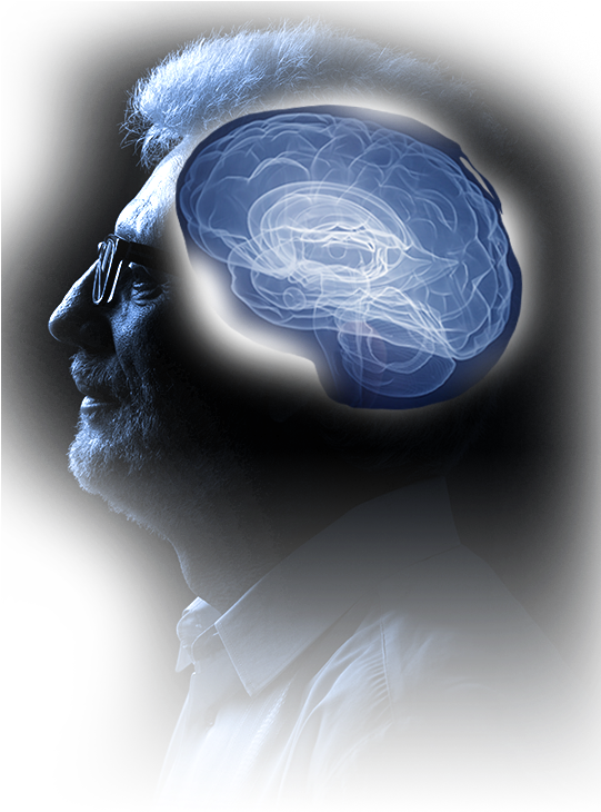 Figure Old Man Brain - Illustration (540x740), Png Download