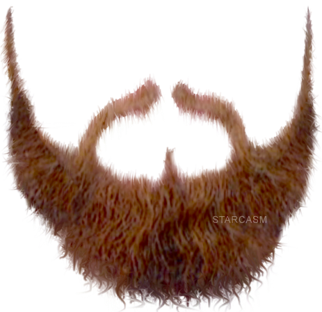 Download Beard Transparent Image - Beard (463x449), Png Download