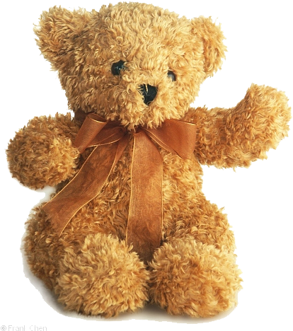 Teddy Bear Png Picture - Teddy Bear Png (528x513), Png Download