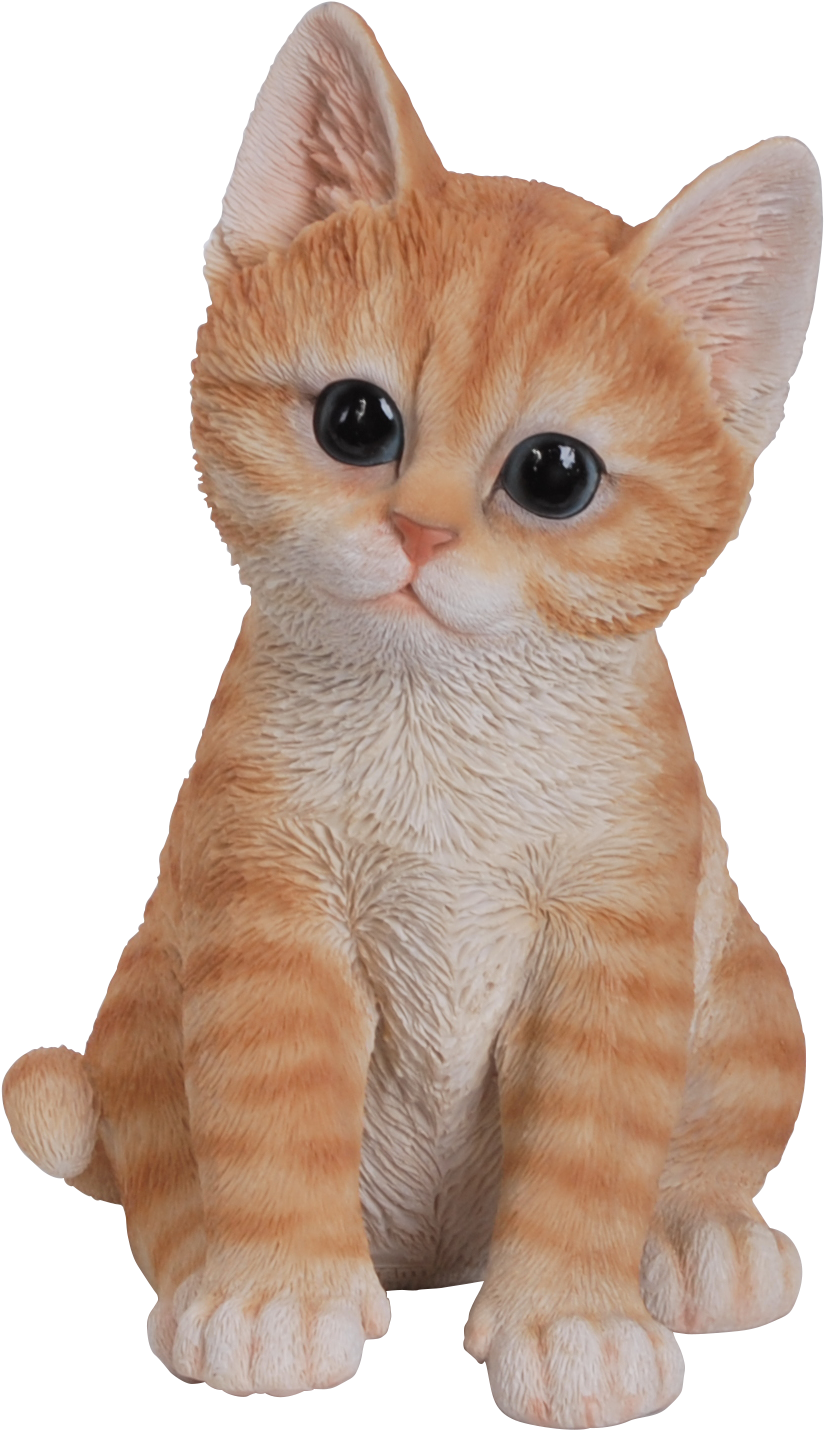 Confused Cat Png - Vivid Arts Pet Pals Playful Kittens Ginger (1234x1859), Png Download