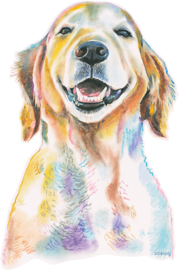 Image Is Not Available - Eco Dog Nyc (600x896), Png Download