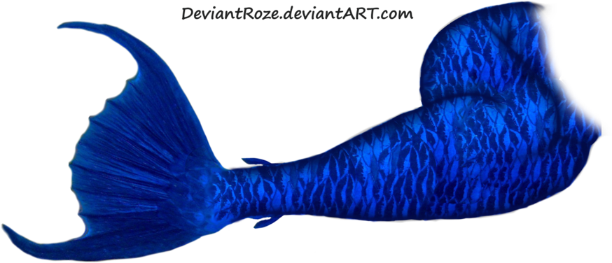 Mermaid Tail Png Picture - Dark Blue Mermaid Tail (900x474), Png Download