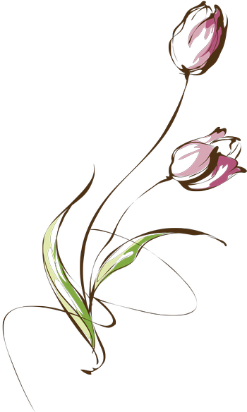 Tattoo Watercolor - Minimal Tulip Tattoo (350x584), Png Download