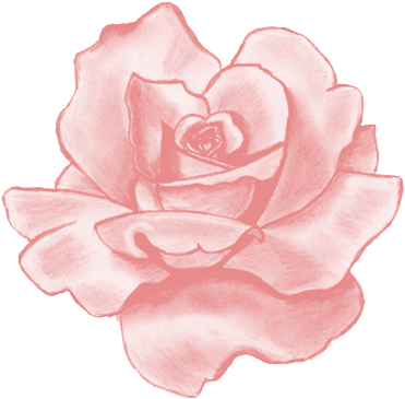 Tumblr Flower Image About In Transpa Black And White - Pink Rose Stickers (480x380), Png Download