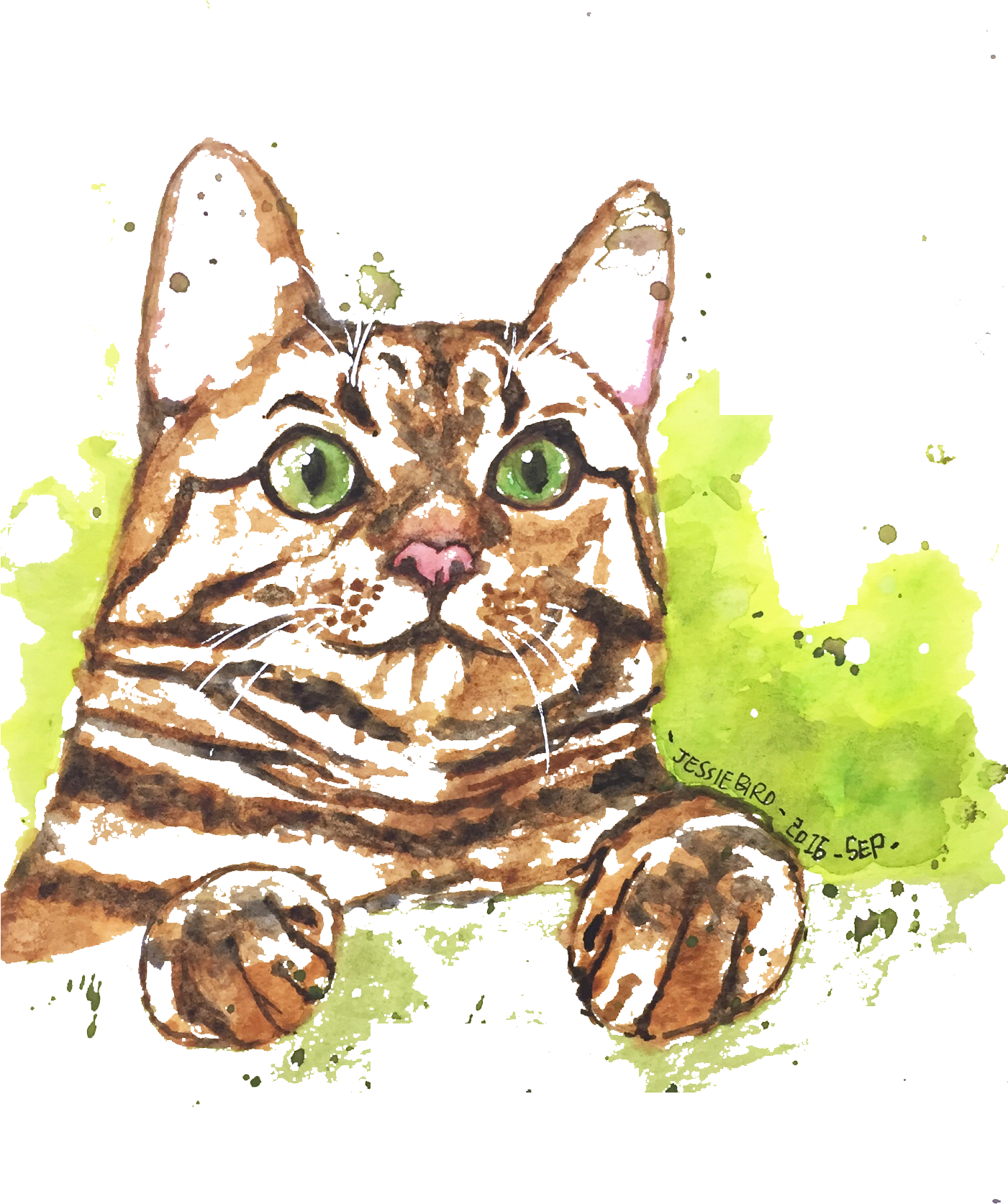 Kitten Clipart Watercolor - Cat (1400x1788), Png Download