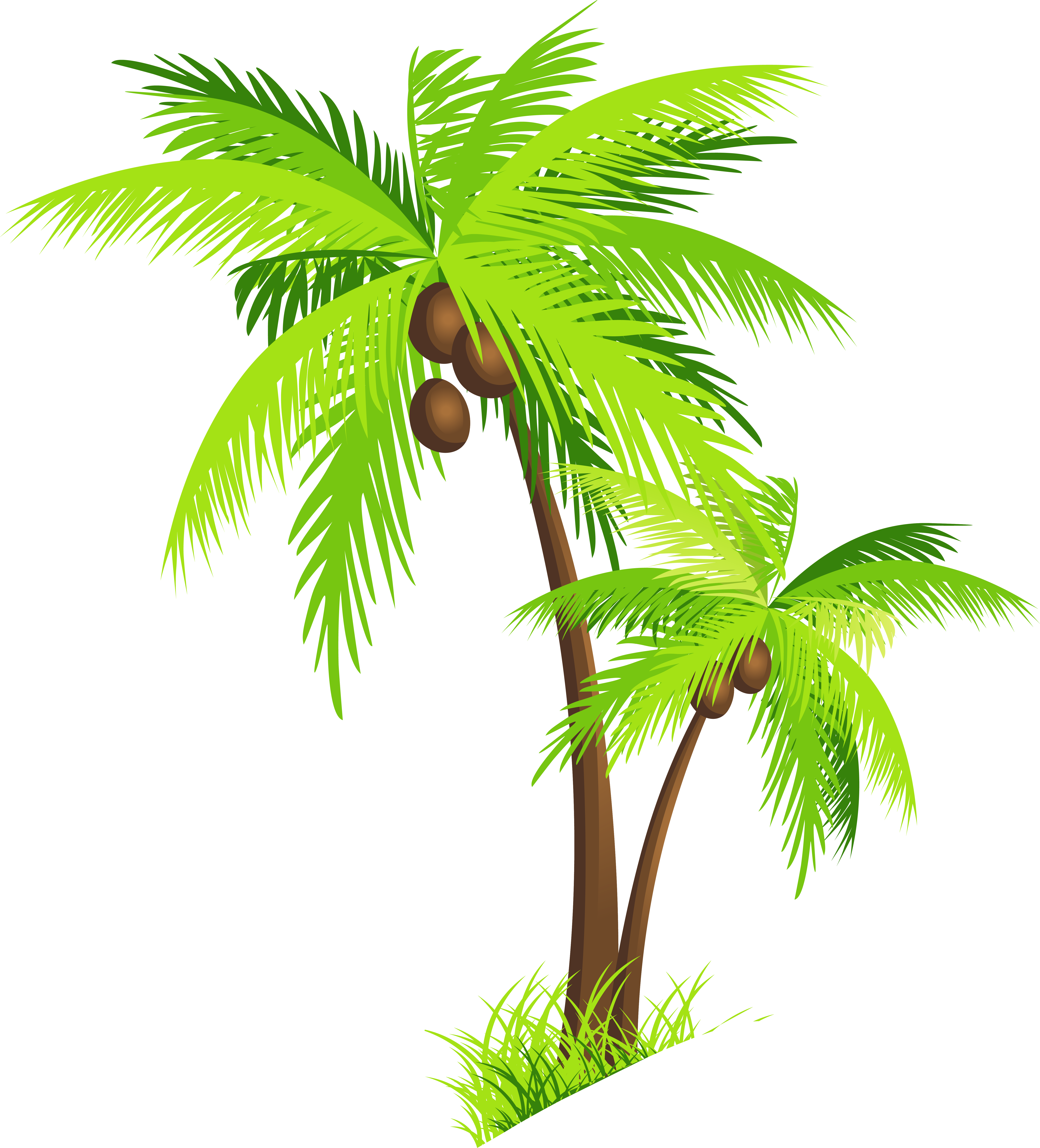 Coconut Clipart Peoplepng Com - Coconut Tree Clipart Png (927x1024), Png Download