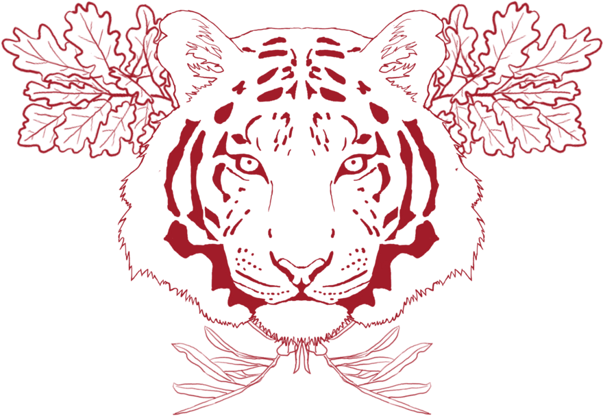 Chest Tattoo Png Free Download - Chest Tattoo Png (1024x727), Png Download