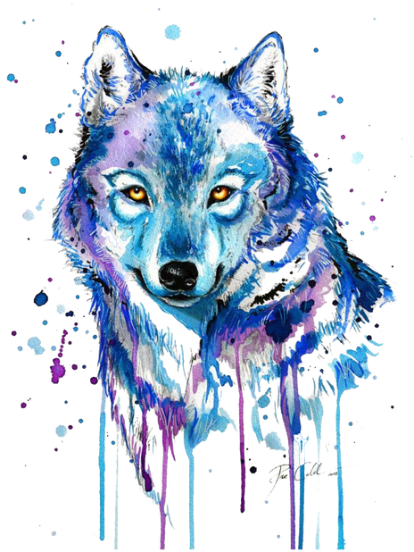 Gray Wolf Tattoo Watercolor Painting Drawing - Dibujos De Lobo Con Acuarelas (650x634), Png Download
