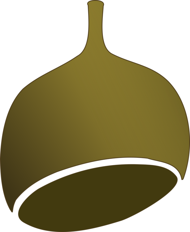 Download Drawing Watercolor Painting Graphic Arts - Clip Art Gumnuts Png (614x750), Png Download