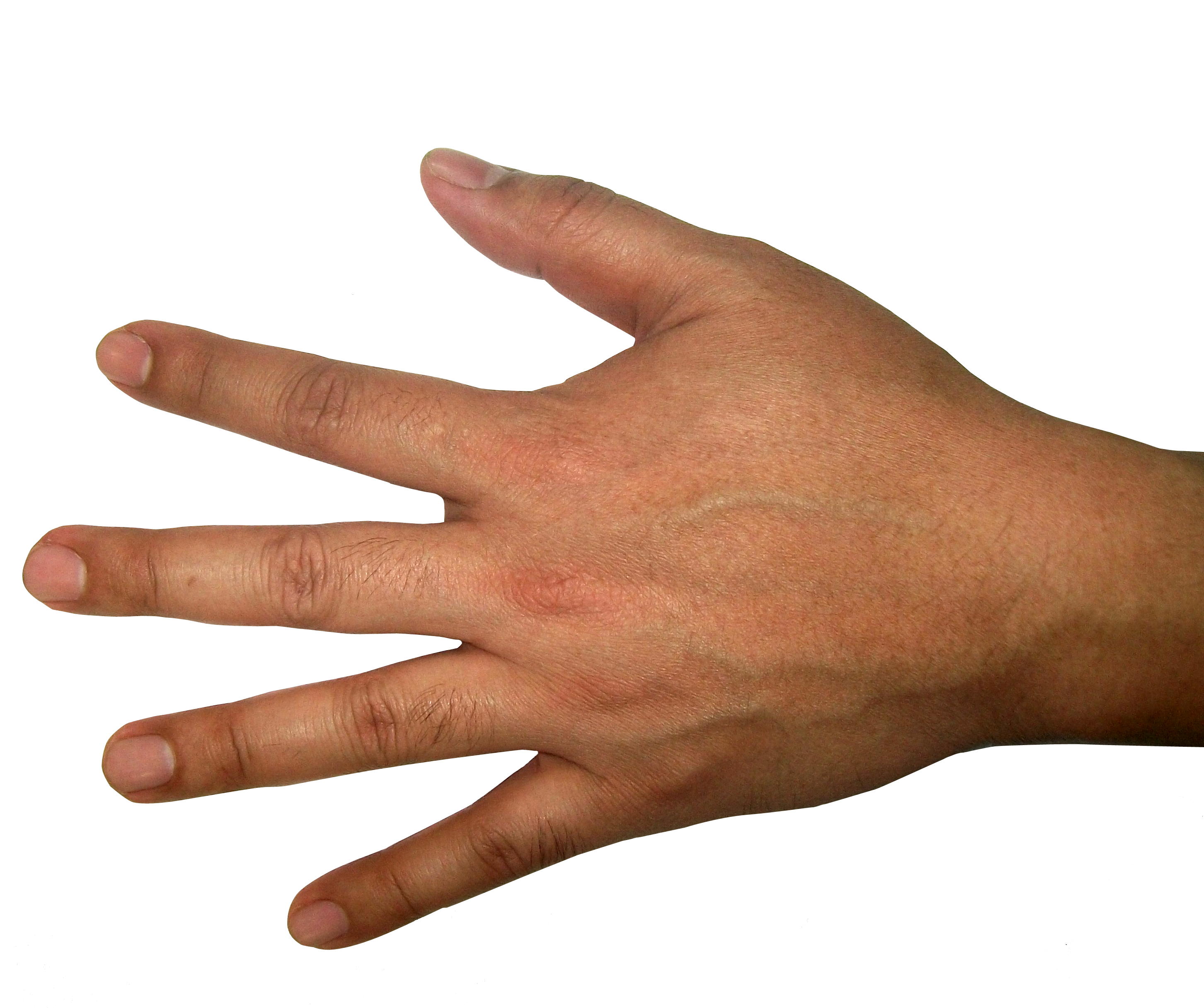 Five Finger Hand Png Image - Hand (3264x2448), Png Download
