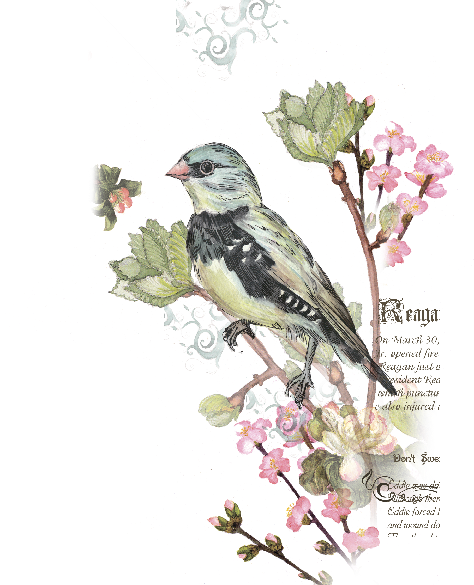 Decoupage - Capa Para Almofada 45x45cm Stm Home Nice Bird (1968x2243), Png Download