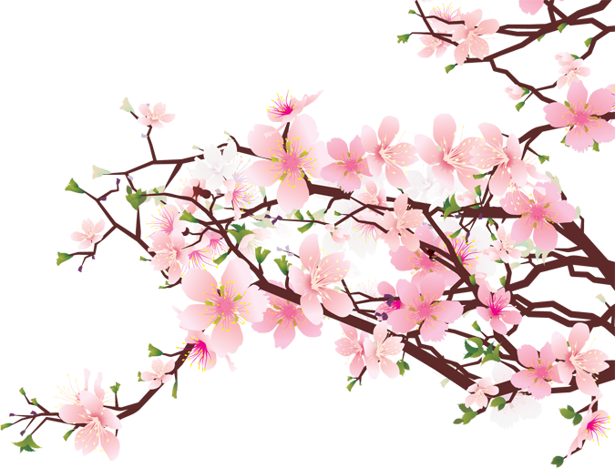 Cliparts With Blossoms Latest Cliparts Are "meant To - Cherry Blossom Png (400x305), Png Download
