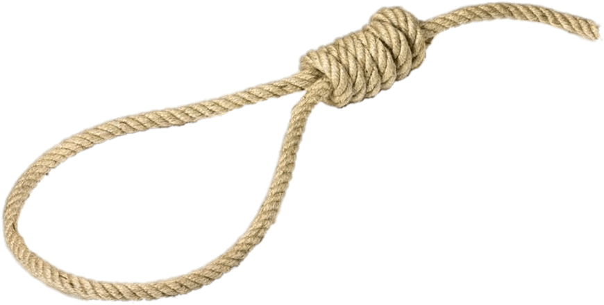 Miscellaneous - Portable Network Graphics (969x565), Png Download