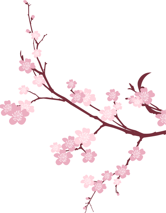 Japanese Flowering Cherry Png Picture - Flowers With Transparent Background (528x677), Png Download