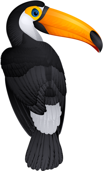 0, - Toucan Clipart Png (375x600), Png Download