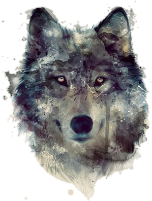 Yoler Art Decorative Throw Pillow Cases Square 1818 - Wolf Png (400x514), Png Download