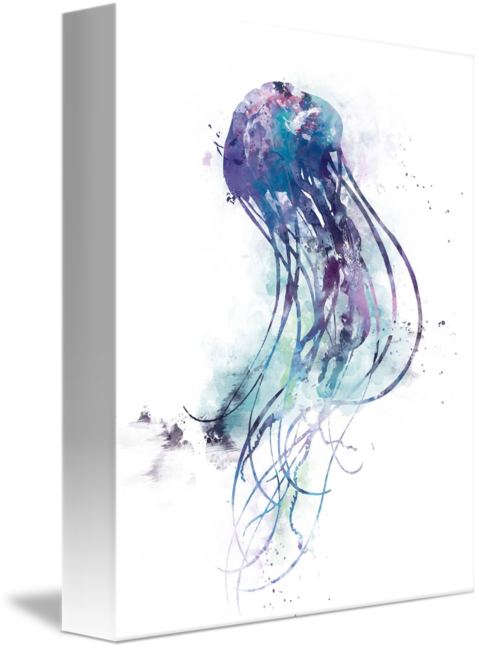 Image Black And White Download By Monn Print Pinterest - Dancing Jelly Fish Watercolor (479x650), Png Download