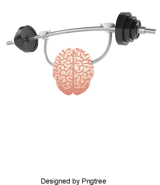 Dumbbell Exercise The Brain, Brain, Movement, Health - Body Jewelry (800x800), Png Download