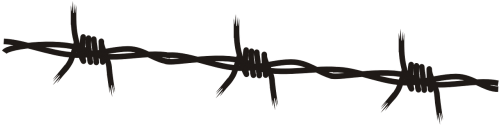 Barb Black Border Line - Barbed Wire Png (500x250), Png Download