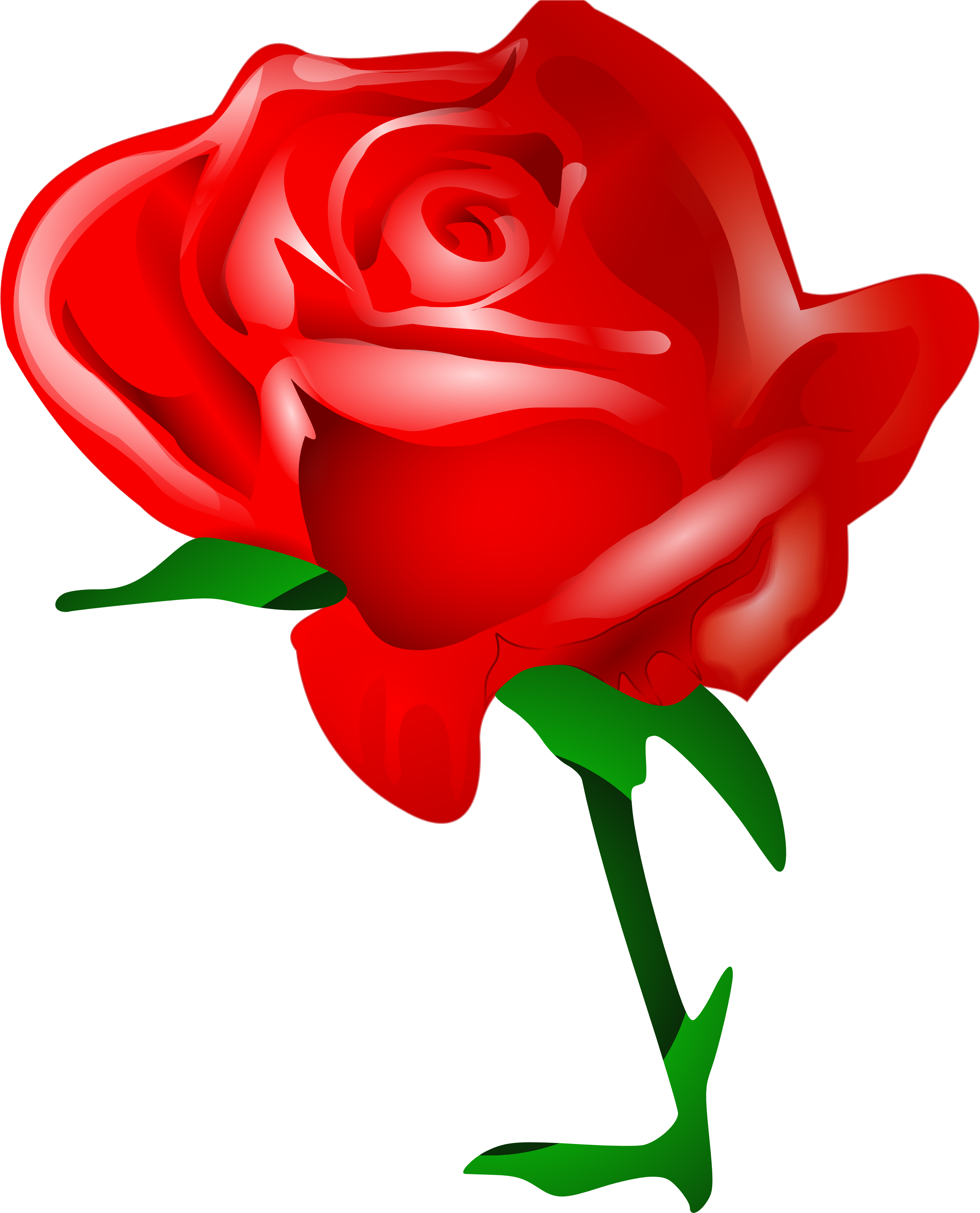 Beautiful Red Flowers, Beautiful Rose, Watercolor, - Rose Download (2926x3622), Png Download