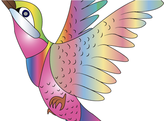 Bird Painting Clip Art Ideas For Home - Colibri Clipart (800x491), Png Download