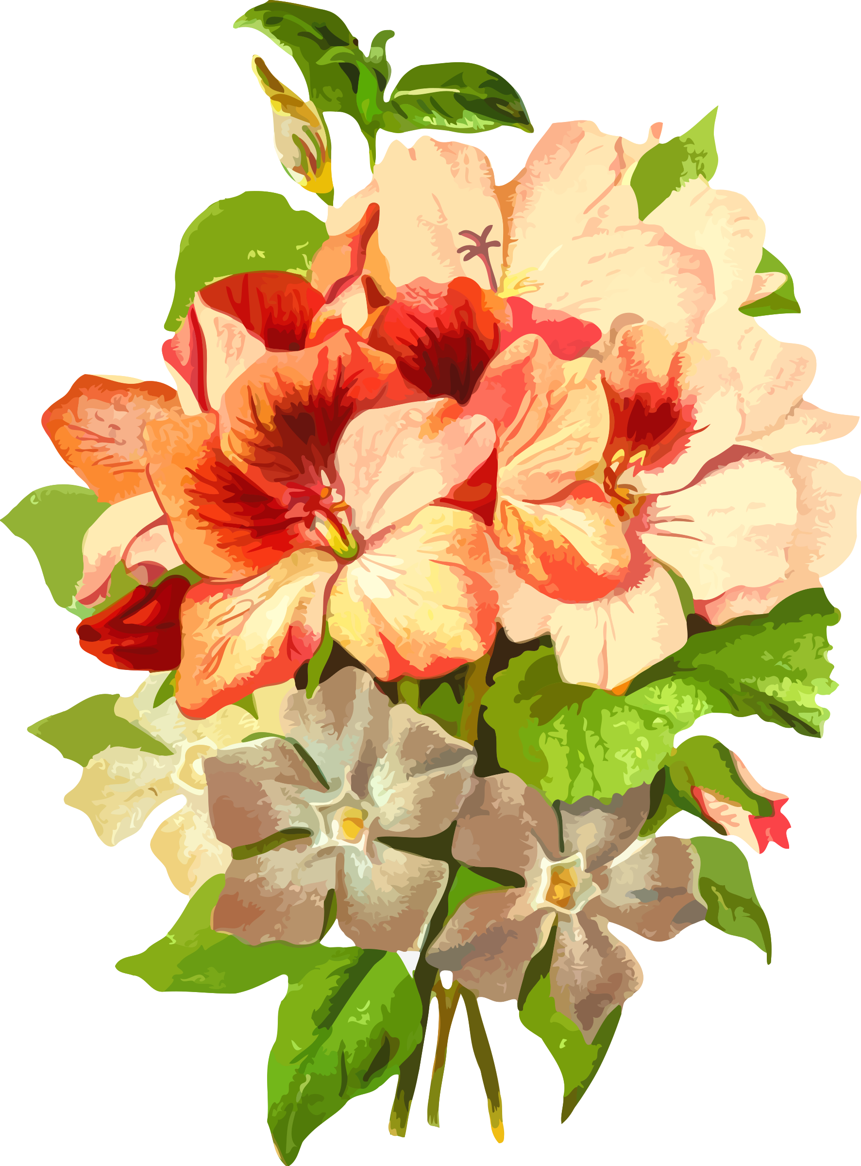 Royalty Free Stock Pelargonium By Firkin Watercolors - Plants Watercolor Png (1773x2400), Png Download