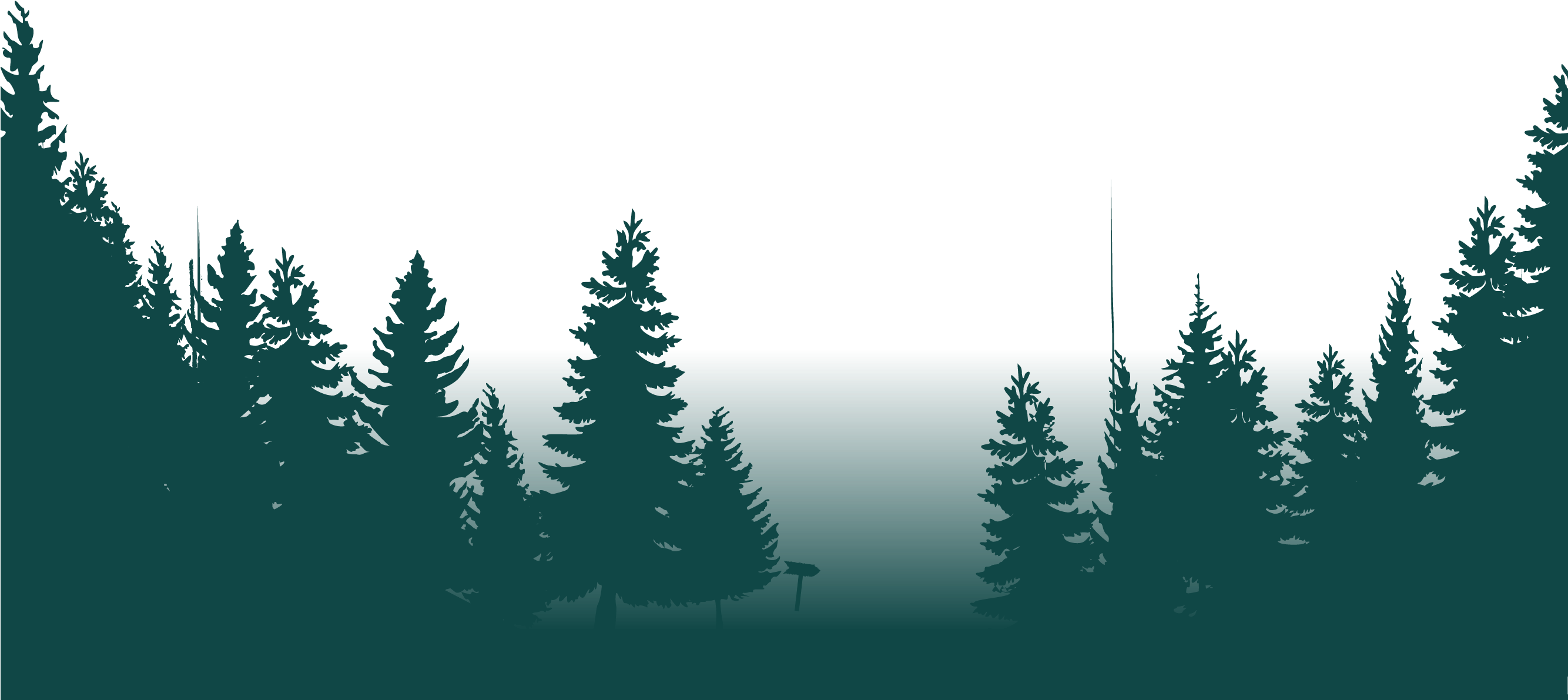 The Forest Png Forest Full Size Png Download Seekpng