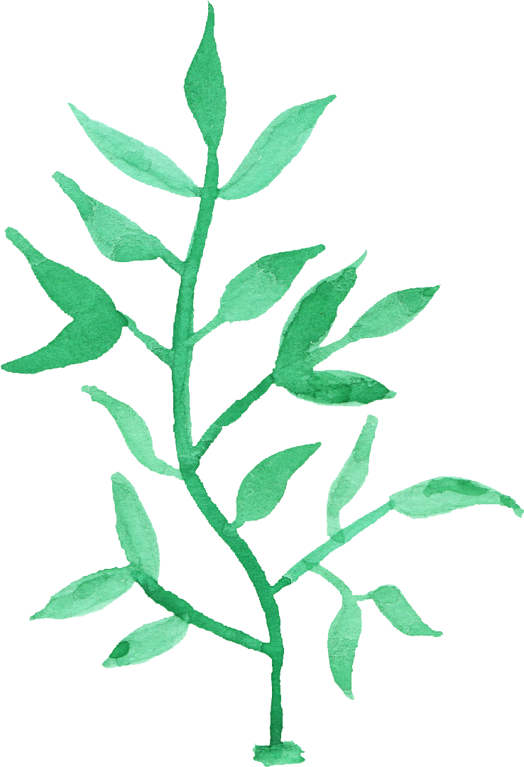 Free Download - Watercolor Leaf Transparent (738x1080), Png Download