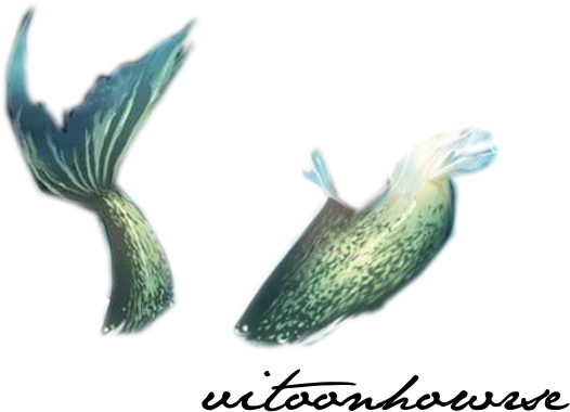 Png Mermaid Tail - Mermaid Tail Transparent Png (640x400), Png Download