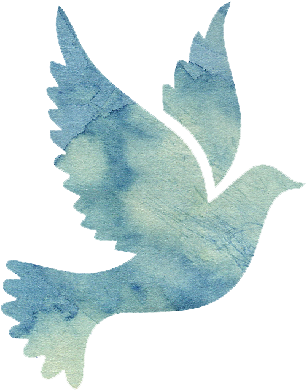 Black Dove (417x417), Png Download