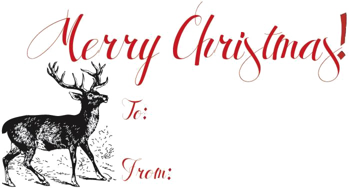 Merry Christmas Png Free Download - Merry Christmas Card For Gift (698x376), Png Download