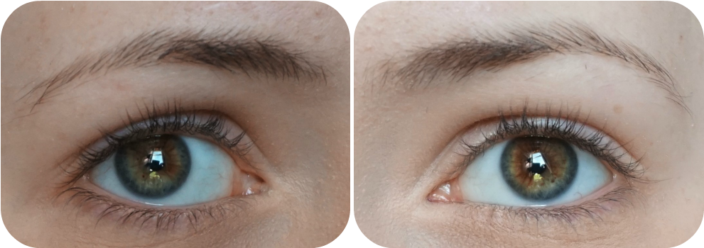 These Are My Eyebrows Without Any Product - Eye Shadow (1000x359), Png Download