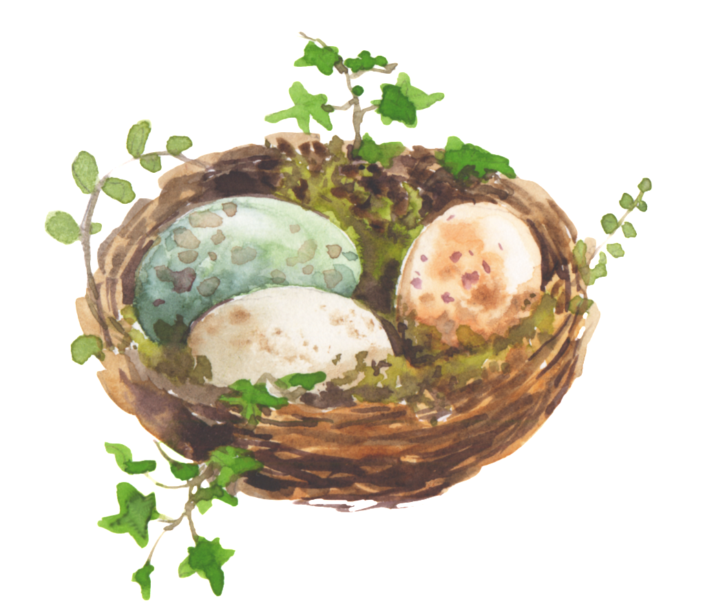 Pet Egg Watercolor Hand Painted Transparent - Watercolor Painting (1024x883), Png Download