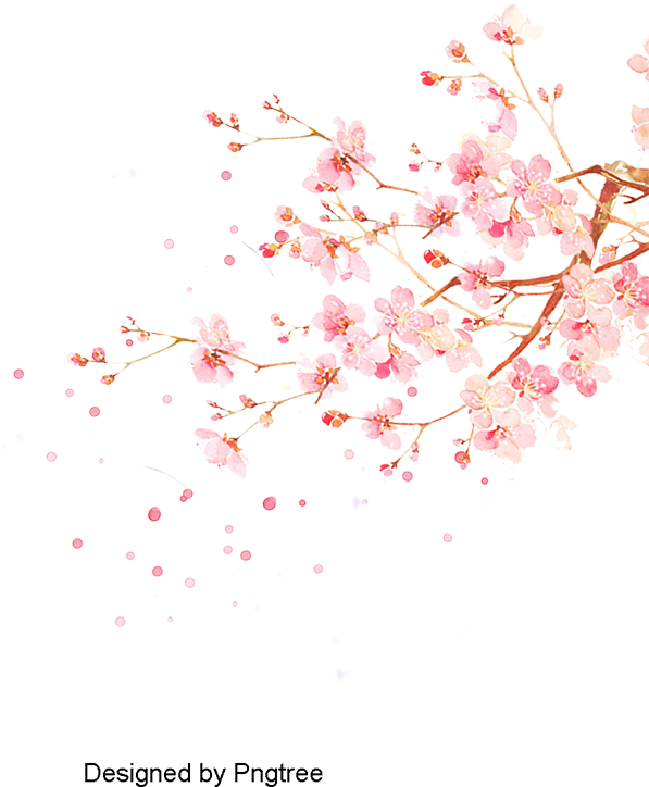Japanese Cherry Tree Png