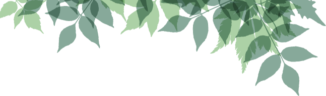 Forests For The Future - Forest Png (647x192), Png Download