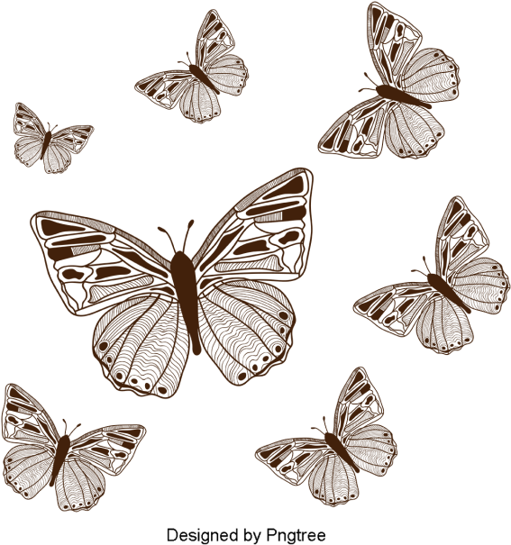 Beautiful Cartoon Hand-painted Butterfly Wings, Beautiful, - Cartoon (640x640), Png Download