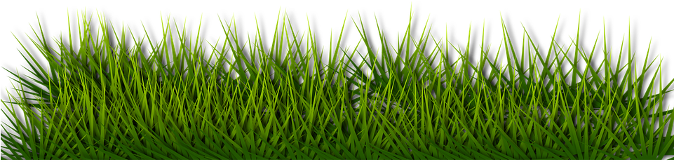 Background Border Grass Green Herb Landsca - Lawn (680x340), Png Download
