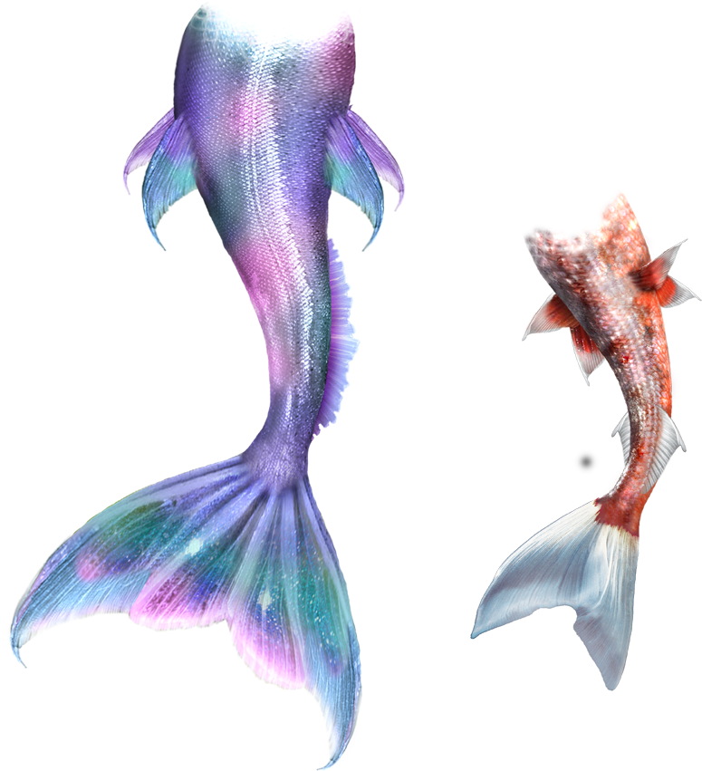 Png Transparent Stock Drawing Mermaid Tail - Pink Mermaid Tail Transparent (945x945), Png Download