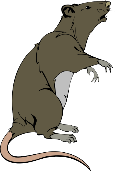 Rat Clipart Png Clip Freeuse - Rat Clipart Png (402x596), Png Download