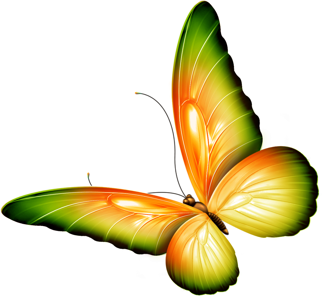 Transparent Clip Art - Clipart Flowers And Butterflies Border (1232x1140), Png Download