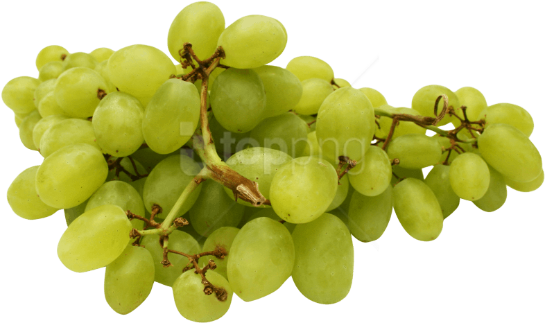 Download Green Grapes Png Image - Green Grapes Png (500x303), Png Download