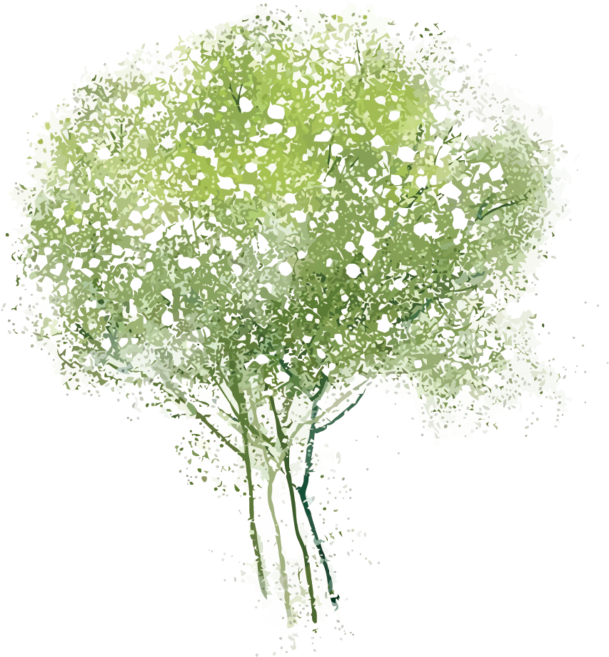 Picture Royalty Free Adobe Illustrator Tree Transprent - Watercolor Painting (1039x1500), Png Download