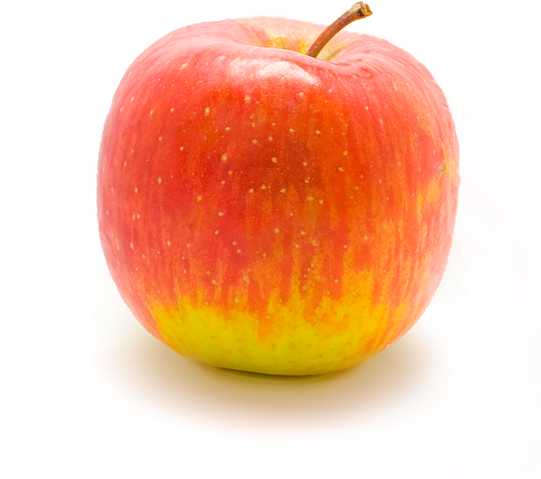 Apple In Lightbox - Apple Transparent Png (768x768), Png Download