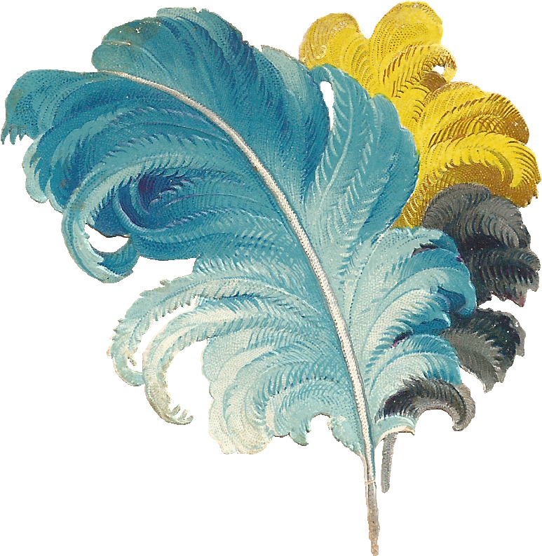 Feather01png Painted Peacock Sandbox - Colorful Feather Png Transparent (894x880), Png Download