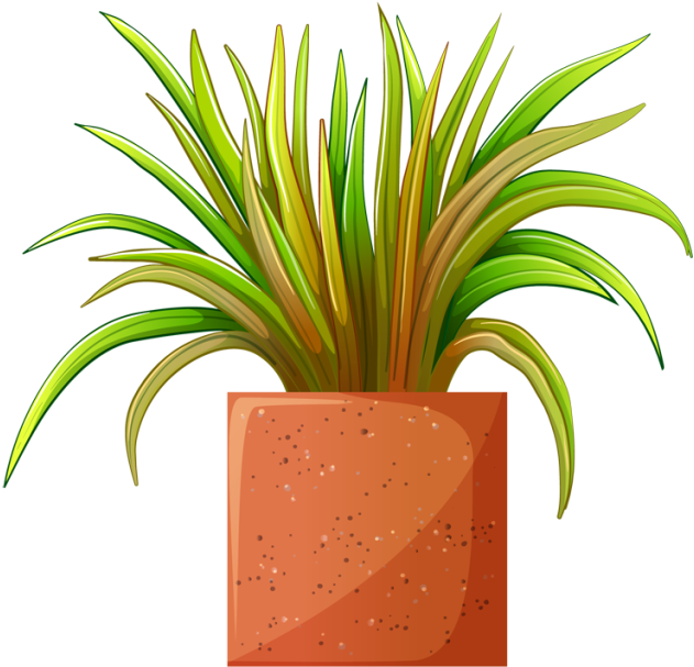 Pot Plant Clipart Transparent - Plant Transparent Clipart (640x609), Png Download