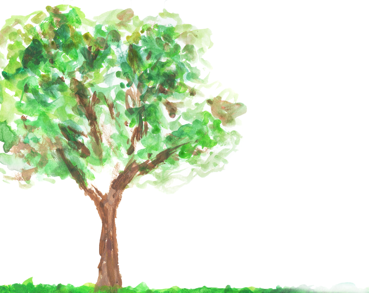 Robert Frost - Oak (1234x982), Png Download