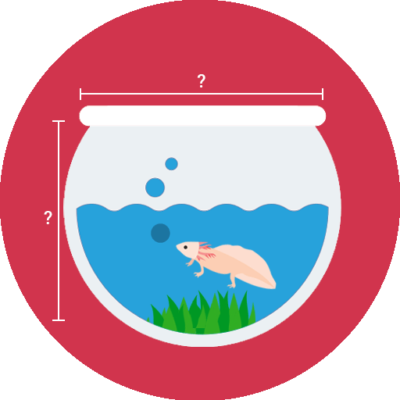 Axolotl Tank Size - Vector Graphics (400x400), Png Download