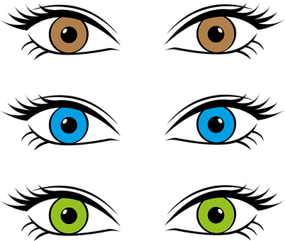 Eyes Eye Color Iris Brown Blue Green Optic - Color De Ojos Dibujo (402x340), Png Download